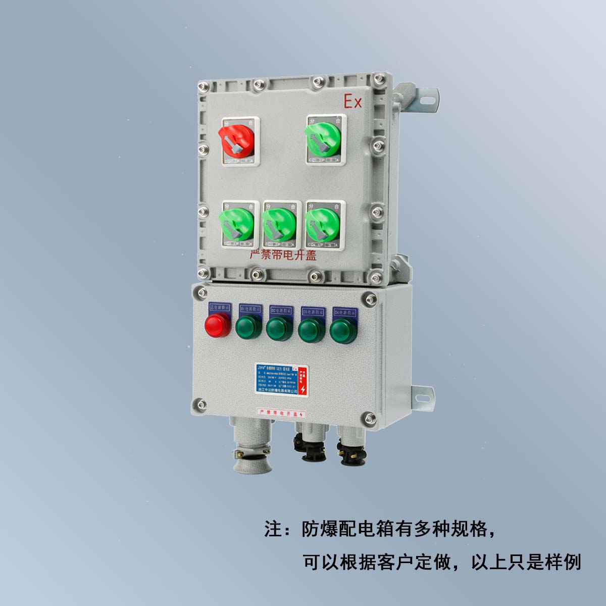 BXM(D)58 系列防爆照明(動力)配電箱 (ⅡB、ⅡC、DIP)